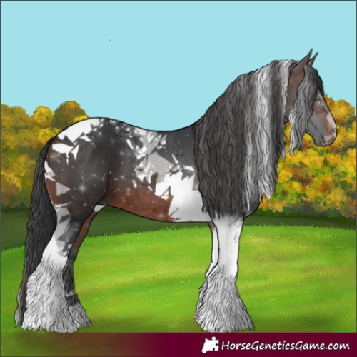 Horse Color:Brown Tobiano