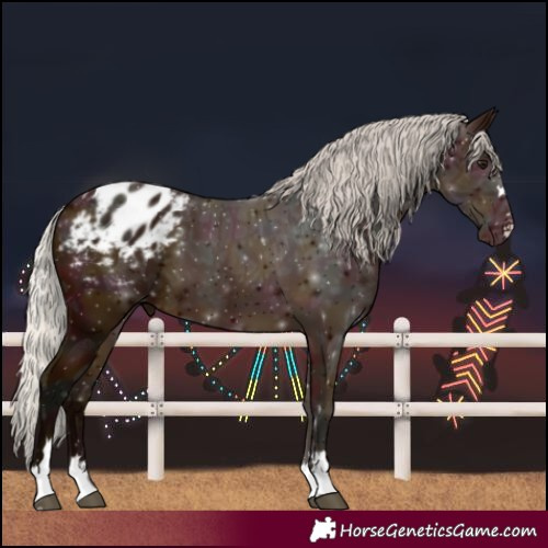 Horse Color:Midnight Silver Bay Ice Varnish 