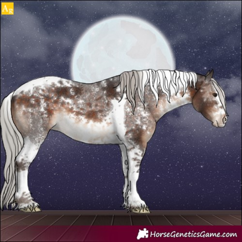 Horse Color:Silver Brown Sabino Tobiano
