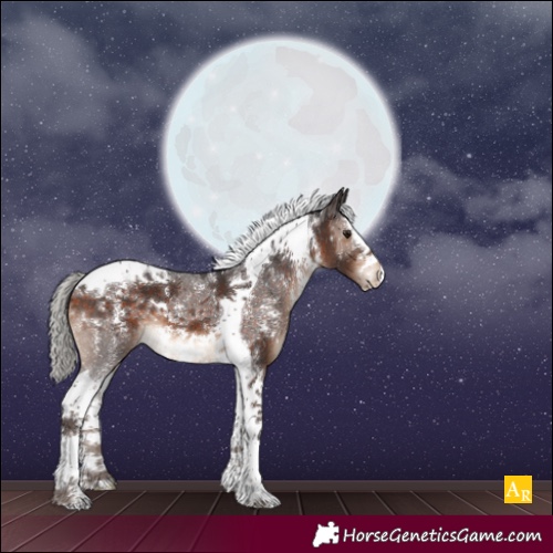 Horse Color:Silver Brown Sabino Tobiano 
