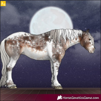 Horse Color:Silver Brown Sabino Tobiano 