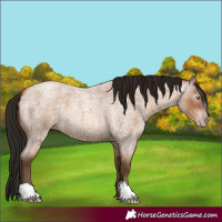 Horse Color:Gray Amber Champagne Roan