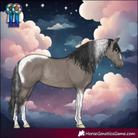 Horse Color:Grullo Tobiano Rabicano