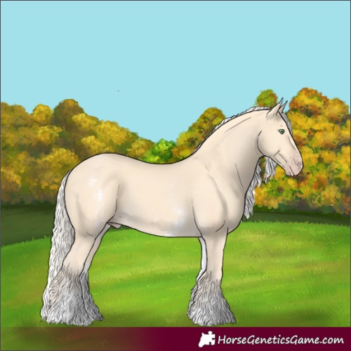 Horse Color:White Spotted Gold Cream Champagne 