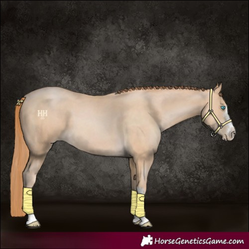 Horse Color:Buckskin Pearl