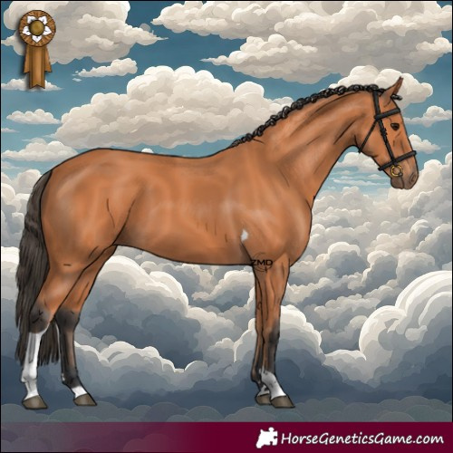Horse Color:Bay Tobiano 