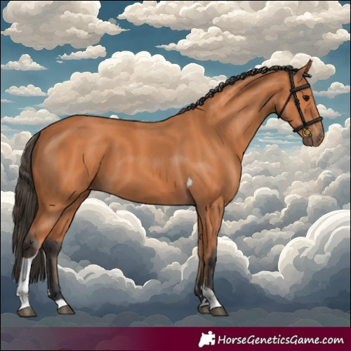 Horse Color:Bay Tobiano 