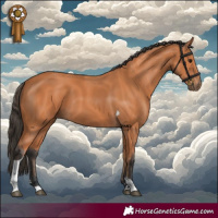Horse Color:Bay Tobiano 