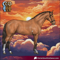 Horse Color:Bay Tobiano