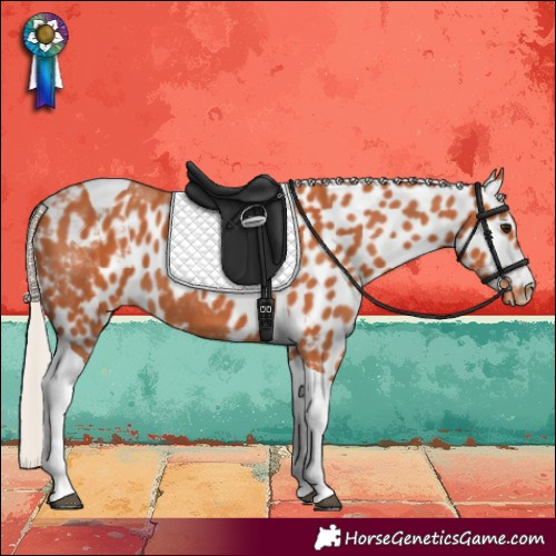Horse Color:Silver Bay Tobiano Skewed LP Spotted 