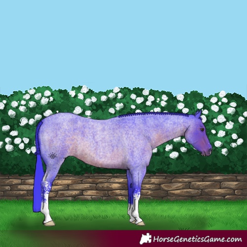 Horse Color:Watercolor Liver Red Roan Sabino