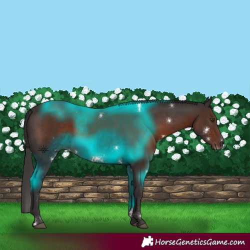 Horse Color:White Spotted Liver Chestnut Sabino 
