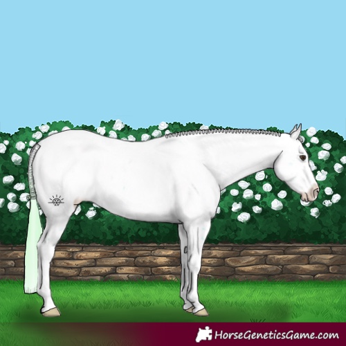 Horse Color:Watercolor Liver Chestnut Sabino 