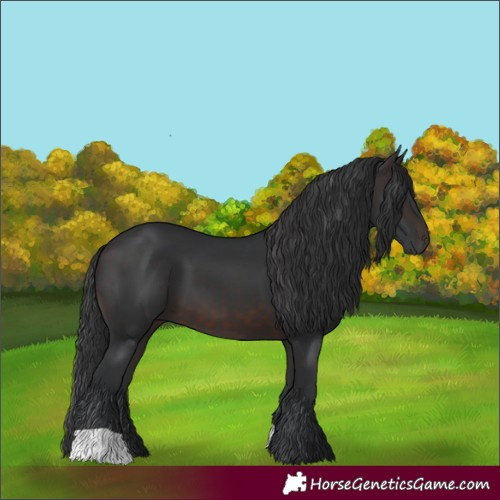 Horse Color:Brown 