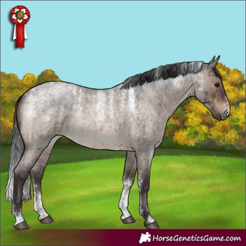 Horse Color:Powder White Brown Roan Dun Rabicano Brindle 