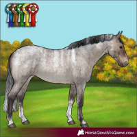 Horse Color:Powder White Brown Roan Dun Rabicano Brindle