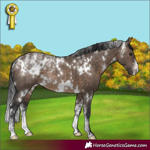 Horse Color:Powder White White Spotted Brown Dun Rabicano