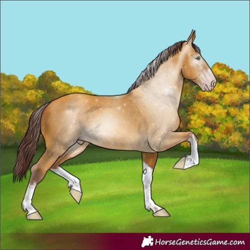Horse Color:Gray White Spotted Chocolate Amber Cream Champagne 