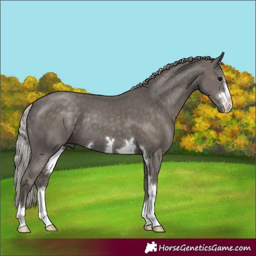 Horse Color:Silver Black