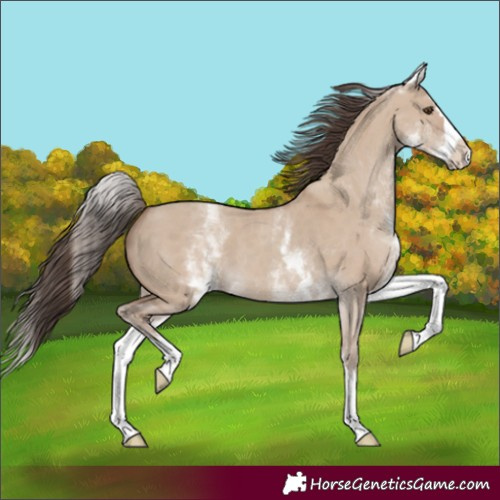 Horse Color:White Spotted Classic Champagne Dun Splash