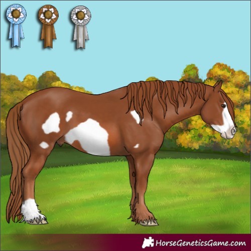 Horse Color:Chestnut Frame 