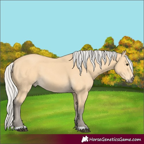 Horse Color:Silver Buckskin 