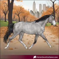 Horse Color:Grullo Roan Sabino Rabicano