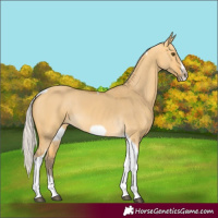 Horse Color:Silver Buckskin Dun Tobiano Frame