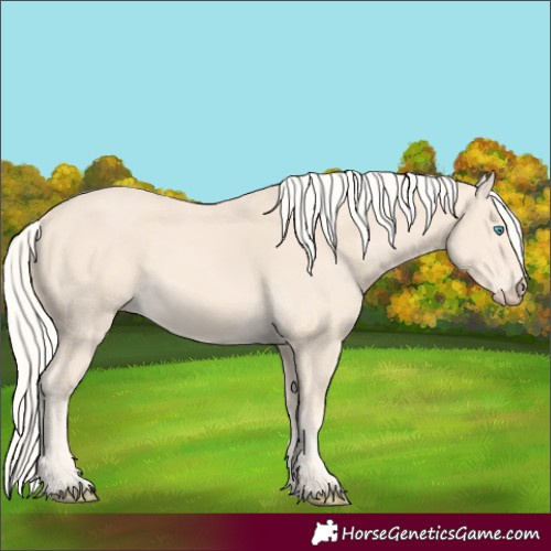 Horse Color:Cremello