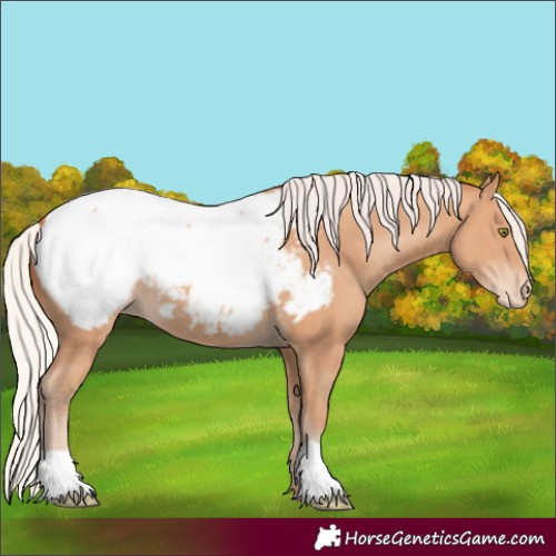Horse Color:Silver Amber Champagne Snowcap 