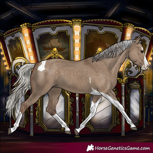 Horse Color:Silver Grullo Splash Tobiano 