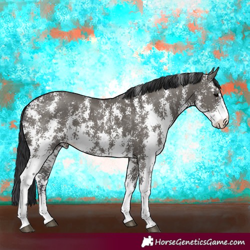 Horse Color:Grullo Sabino Rabicano