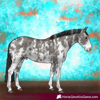 Horse Color:Grullo Sabino Rabicano
