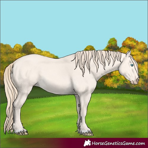 Horse Color:Perlino Dun 