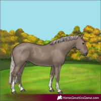 Horse Color:Silver Grullo Sabino Rabicano 