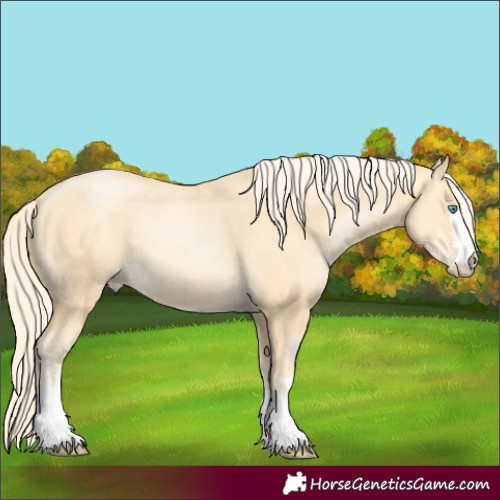 Horse Color:Palomino Pearl