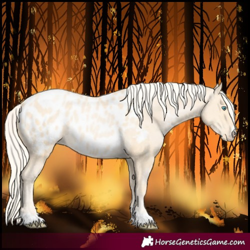 Horse Color:Palomino Pearl Blanket