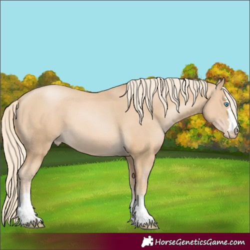 Horse Color:Palomino Pearl