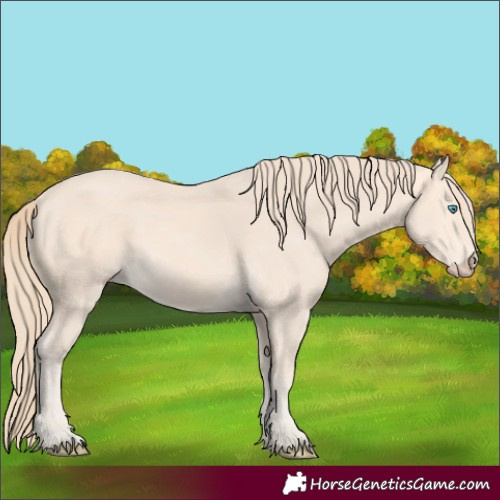 Horse Color:Perlino 