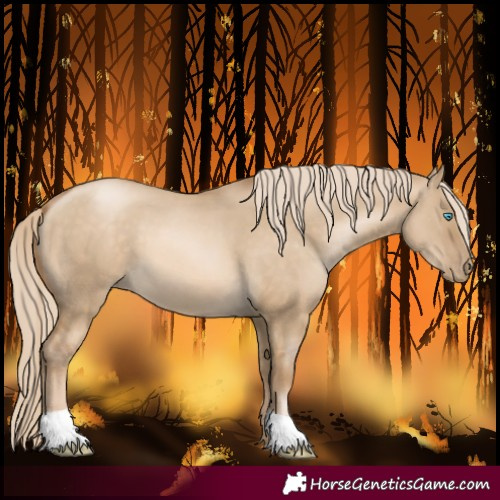 Horse Color:Chocolate Palomino Pearl Dun
