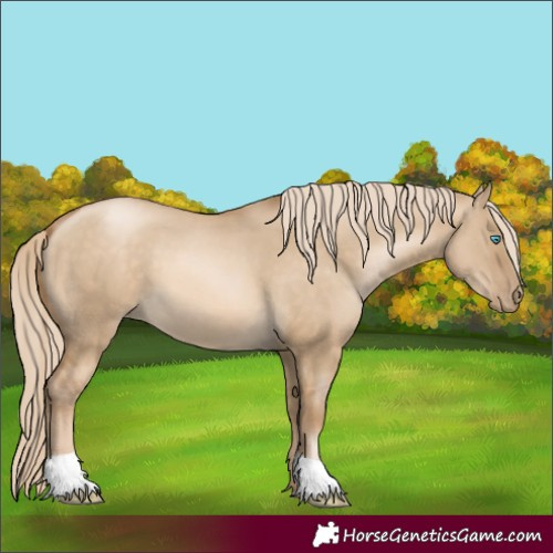 Horse Color:Chocolate Palomino Pearl Dun 
