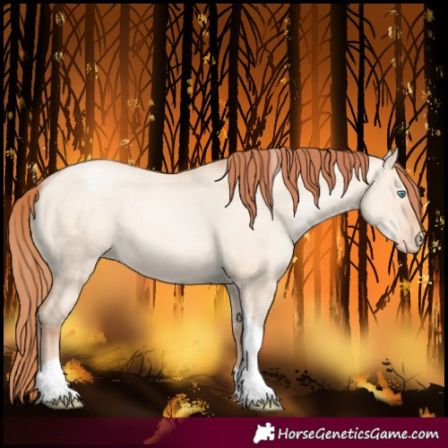 Horse Color:Amber Champagne Pearl Dun Tobiano Varnish Rabicano 