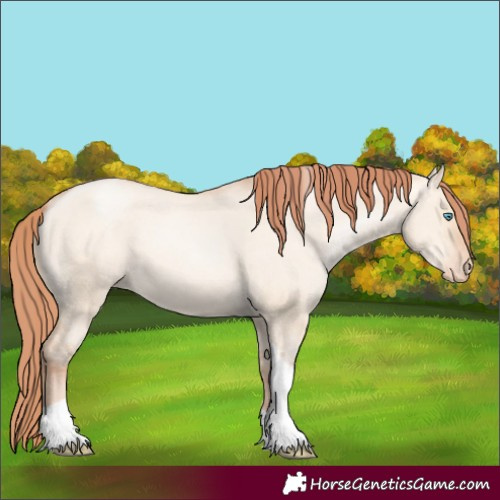 Horse Color:Amber Champagne Pearl Dun Tobiano Varnish Rabicano