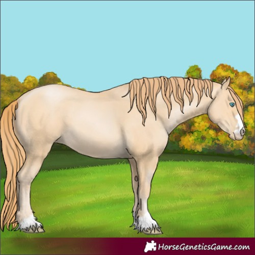 Horse Color:Buckskin Pearl