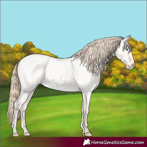 Horse Color:Perlino Roan Dun 
