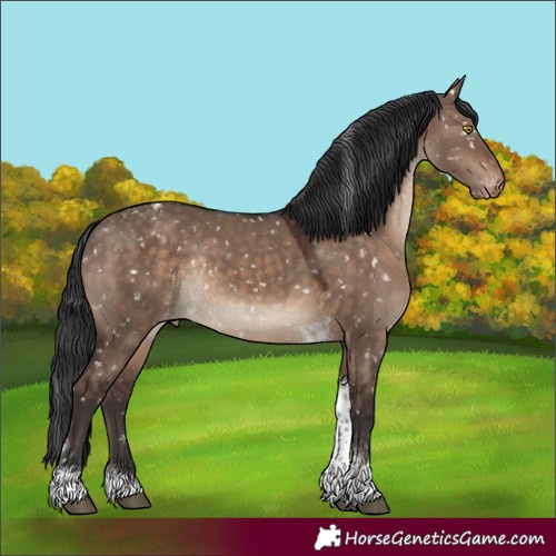 Horse Color:Brown Dun Tobiano Appaloosa Rabicano 