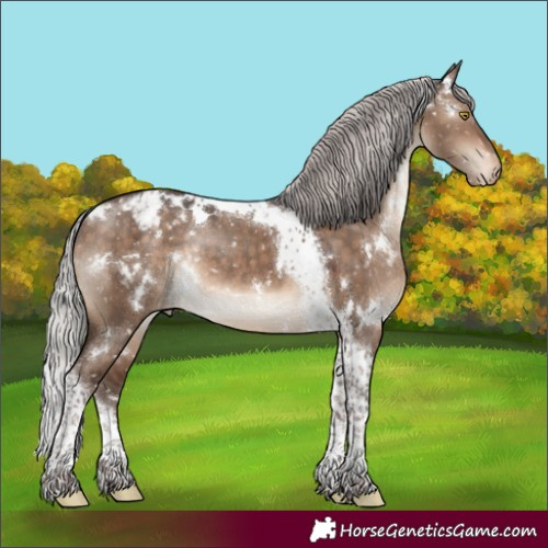 Horse Color:White Spotted Silver Brown Dun Tobiano Appaloosa Rabicano