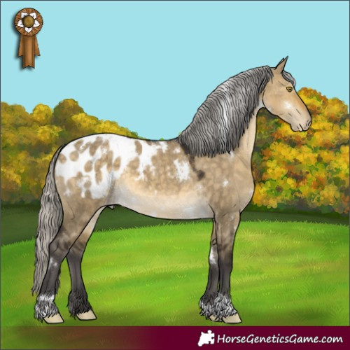 Horse Color:White Spotted Silver Buckskin Dun Tobiano Appaloosa