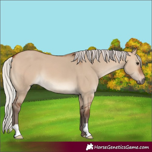 Horse Color:Silver Brown Dun 