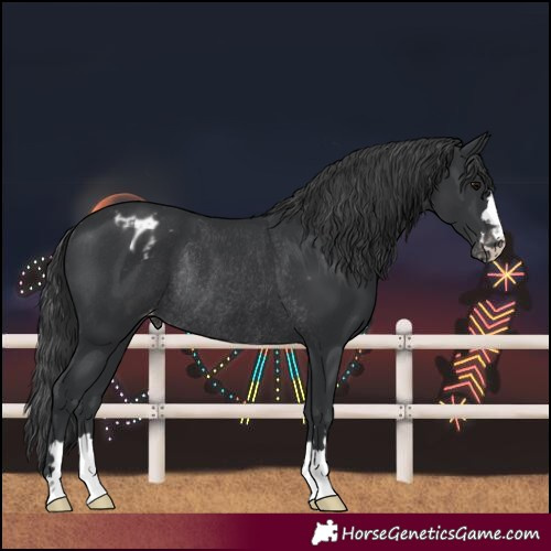 Horse Color:Black Varnish Rabicano 